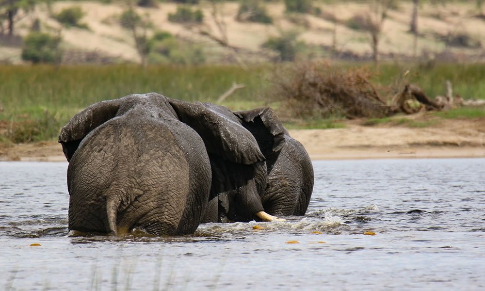 8 Days Wildlife Safari Tour in Uganda