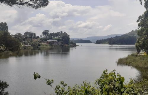 4 Days Gorilla Trekking and Lake Bunyonyi Tour