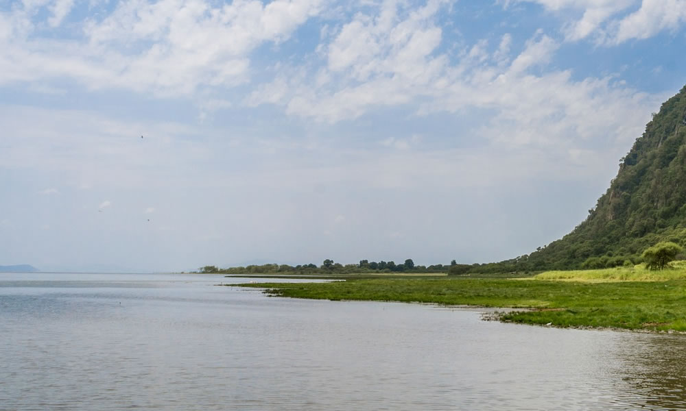 3 Days Lake Manyara National Park Safari
