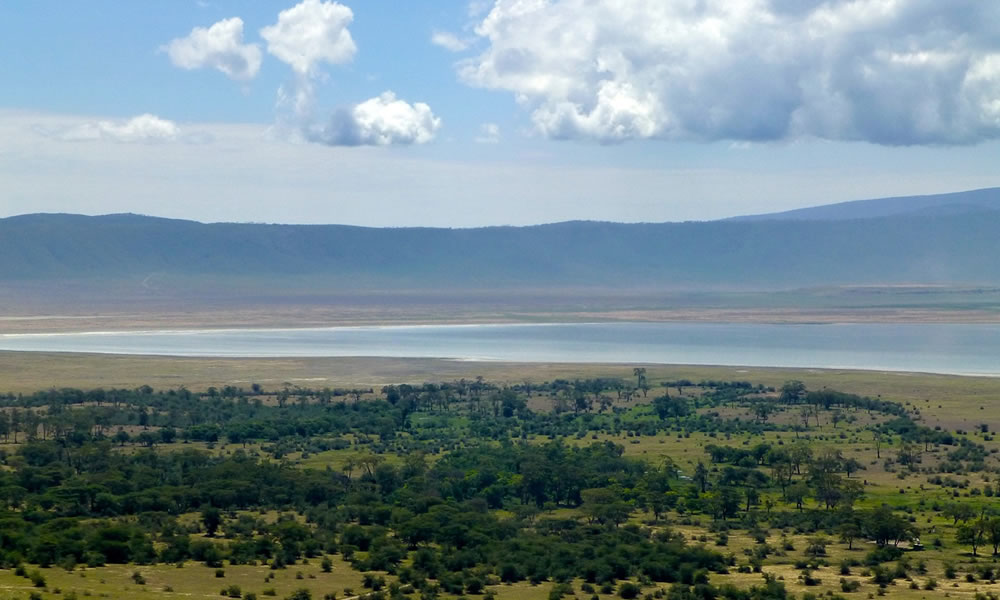 4 Days Tour to Serengeti, Tarangire and Ngorongoro