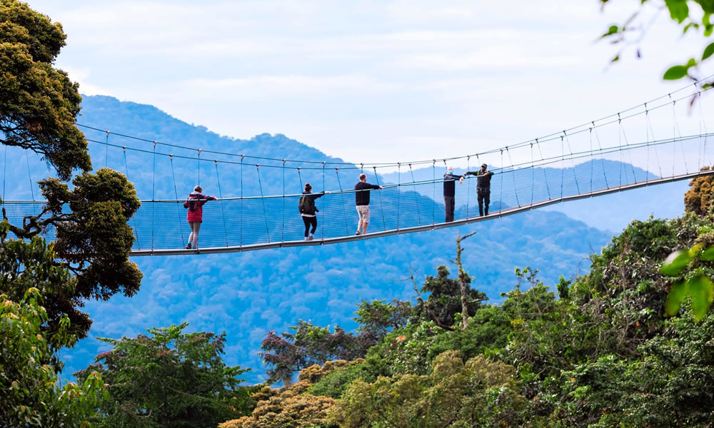 Nyungwe Forest National Park